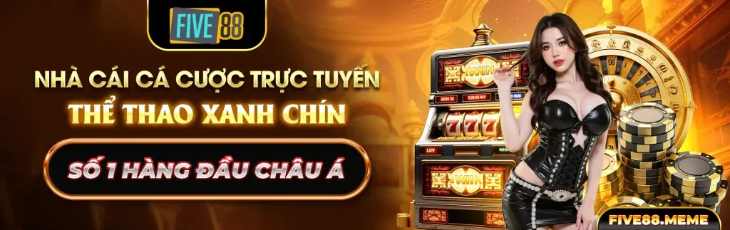Lịch sử phát triển và sứ mệnh của Haywin trong ngành cá cược trực tuyến
