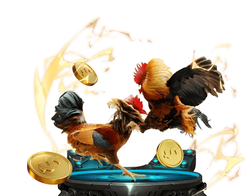 Hướng Dẫn Nhận Ưu Đãi Haywin